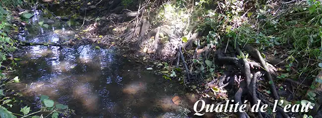 qualité de l'eau